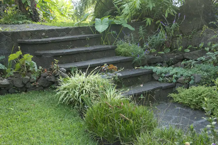 Stone steps climbing a planted bank, with grasses and perennials on either side