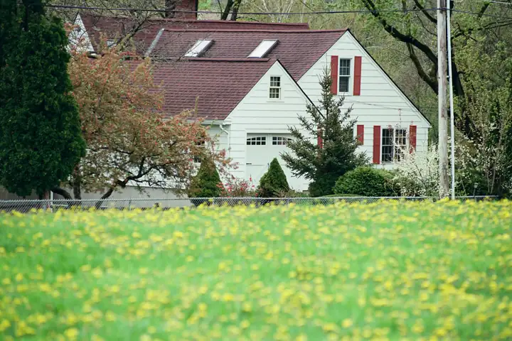 A white clapboard house with mature shrubs and a lawn coming to the front walk