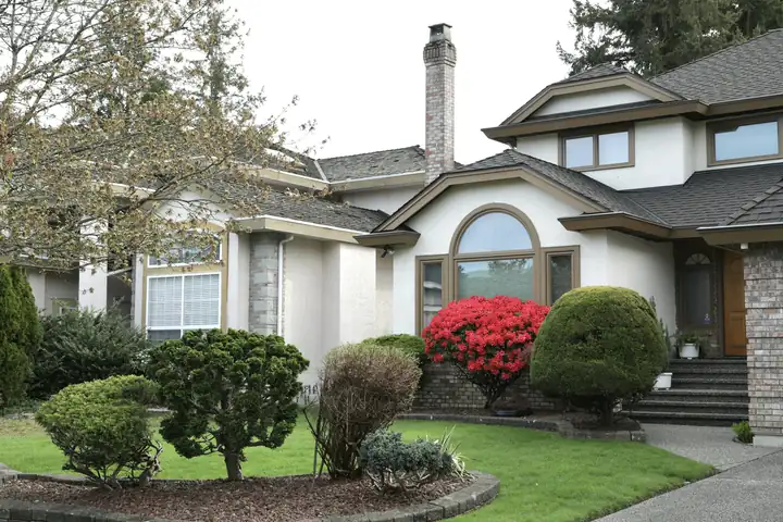 A house front with clipped evergreen shrubs and a flowering shrub beside the entry